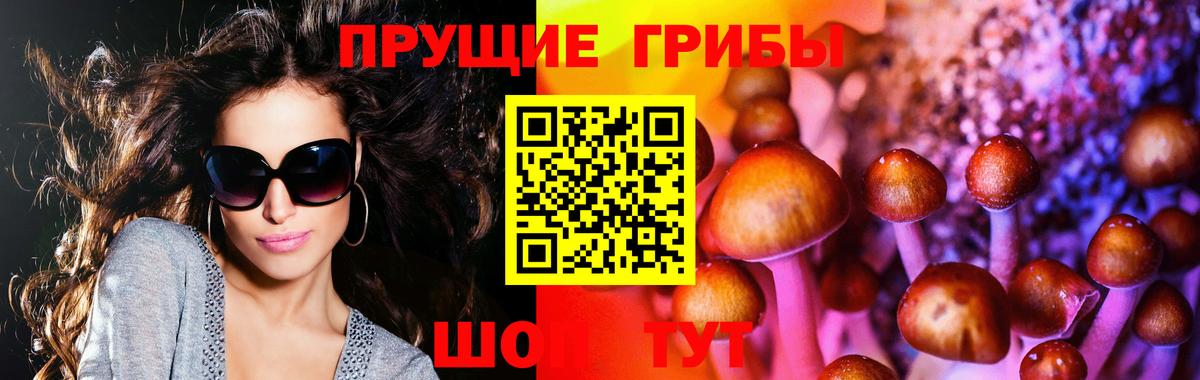 Псилоцибиновые грибы Psilocybe Павловский Посад