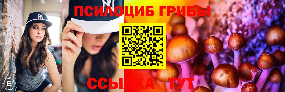 Павловский Посад  Галлюциногенные грибы мухоморы  Вход с VPN 